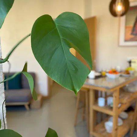 Apartment Smart Tarifa