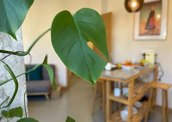 아파트 Smart 타리파